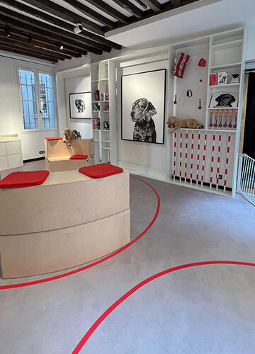 Concept Store Royal Canin