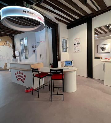 CTN-Realisation-Sol-PVC-Ciment-Royal-Canin-6