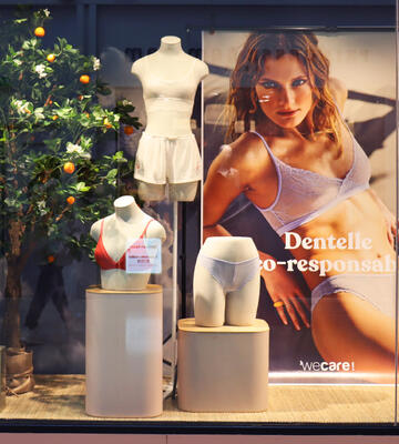 Décoration vitrines