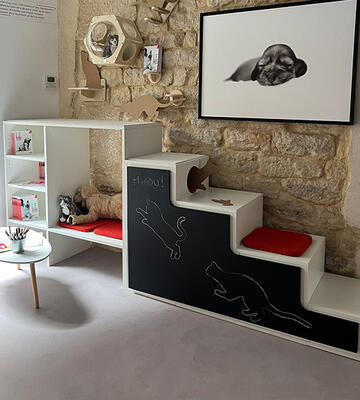 CTN-Realisation-Sol-PVC-Ciment-Royal-Canin-3