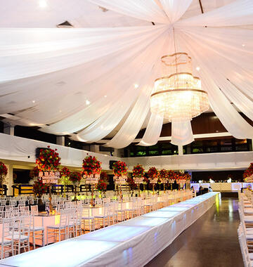 CTN products for receptions 