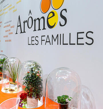 The decoration of the stand and exhibition walls