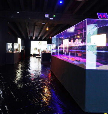 Flooring for your showrooms