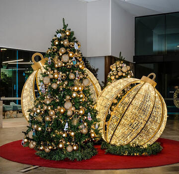 A tailor-made service with CTN 