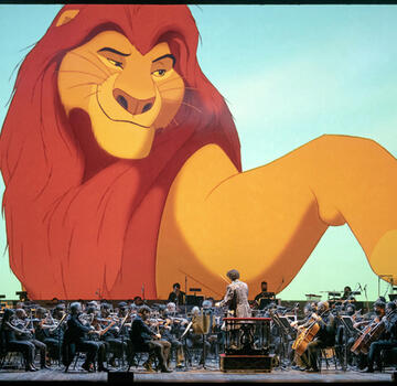 Une toile idéale pour les spectacles et concerts