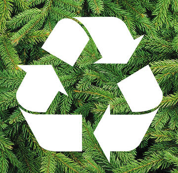 The CTN Recycling service