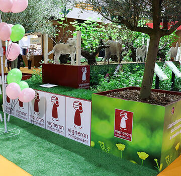 Créez votre décoration spéciale foire aux vins 